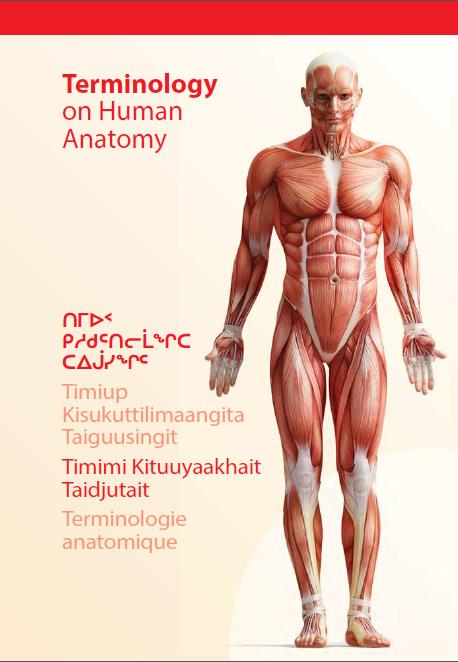 Human Anatomy Glossary cover